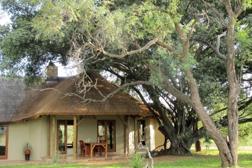 Ama Amanzi Bush Lodge 002